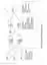Fig. 07 - Multimedia broadcast multicast service (MBMS) gateway for restoring an MBMS session after path failure