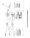 Fig. 08 - Multimedia broadcast multicast service (MBMS) gateway for restoring an MBMS session after path failure
