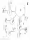 Fig. 03 - Network classification