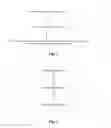 Fig. 02 - Method and Device for Forwarding Message