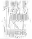 Fig. 03 - Encrypted streams to receivers