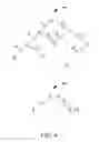 Fig. 05 - MAINTAINING RULE COHERENCY FOR APPLICATIONS