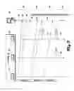 Fig. 08 - Adaptive variable fidelity media distribution system and method