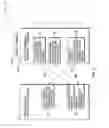 Fig. 04 - Client system communication with a member of a cluster of server systems