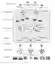 Fig. 02 - Semantics-based architectural model of the internet of things