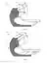 Fig. 14 - Housing features of an electronic device
