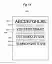 Fig. 14 - Electronic document generation apparatus, recording medium, and electronic document generation system
