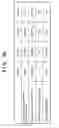 Fig. 19 - Image capturing apparatus and control method therefor
