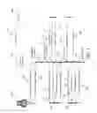 Fig. 04 - Guided photography and video on a mobile device