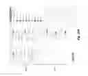 Fig. 32 - System and method for discussion initiation and management in a virtual conference