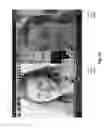 Fig. 65 - System and method for discussion initiation and management in a virtual conference