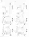 Fig. 04 - High efficiency motion blur reduction