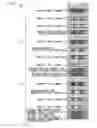 Fig. 27 - Image encoding method and image encoding apparatus