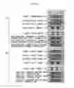 Fig. 29 - Image encoding method and image encoding apparatus