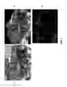 Fig. 06 - Simultaneous localization and mapping for video coding