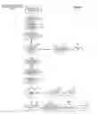 Fig. 04 - Two-way television enabled therapeutic communication systems and methods