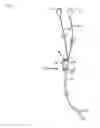Fig. 02 - HEADPHONES WITH JUNCTION RECEPTACLE