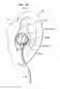 Fig. 08 - Moldable Earpiece System