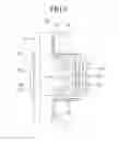 Fig. 13 - Headset