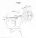 Fig. 31 - Headset