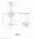 Fig. 13 - SPATIO-TEMPORAL METHOD AND SYSTEM TO IMPLEMENT BOUNDARY REGULATION