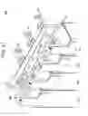 Fig. 22 - Electronic device and insertion error protection device