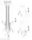 Fig. 13 - Twinax Cable Design for Improved Electrical Performance