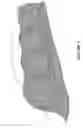 Fig. 02 - CROP PROTECTION NETTING