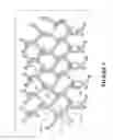 Fig. 04 - CROP PROTECTION NETTING