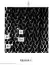 Fig. 11 - CROP PROTECTION NETTING