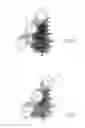 Fig. 11 - System and method for the comminution and harvesting of trees and brush type vegetation