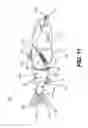 Fig. 12 - Fishing lure having an inertially-activated pivotable hook system