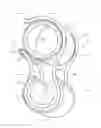Fig. 01 - Clamping assembly for sectioned fishing rod