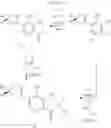 Fig. 447 - PROCESS FOR THE PREPARATION OF DIHYDROPYRROLE DERIVATIVES