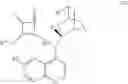 Fig. 53 - PROCESS FOR THE PREPARATION OF DIHYDROPYRROLE DERIVATIVES