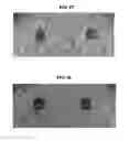 Fig. 34 - Hard surface made up of material including an antimicrobial exfoliated vermiculite composite material as a sanitizer