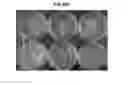 Fig. 43 - Hard surface made up of material including an antimicrobial exfoliated vermiculite composite material as a sanitizer