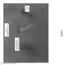Fig. 05 - Microbial inoculant formulations