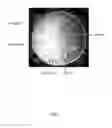 Fig. 08 - Organic and environmentally “green” biocide compositions and applications