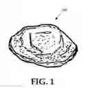 Fig. 02 - PET CHEW ARTICLES AND METHODS OF MANUFACTURE