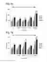 Fig. 02 - Intestinal barrier integrity