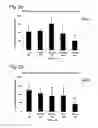 Fig. 03 - Intestinal barrier integrity