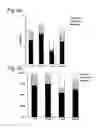 Fig. 04 - Intestinal barrier integrity