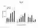 Fig. 05 - Intestinal barrier integrity