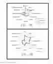 Fig. 06 - BEVERAGE PRECURSOR AND METHOD FOR MAKING BEVERAGES