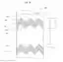 Fig. 36 - Banded papers, smoking articles and methods