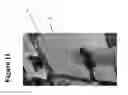 Fig. 12 - Electronic subassembly for apparel