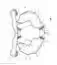 Fig. 02 - PERSONAL PROTECTION DEVICE