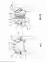 Fig. 09 - PERSONAL PROTECTION DEVICE