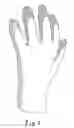Fig. 02 - Cut resistant glove, and manufacturing method of cut resistant glove